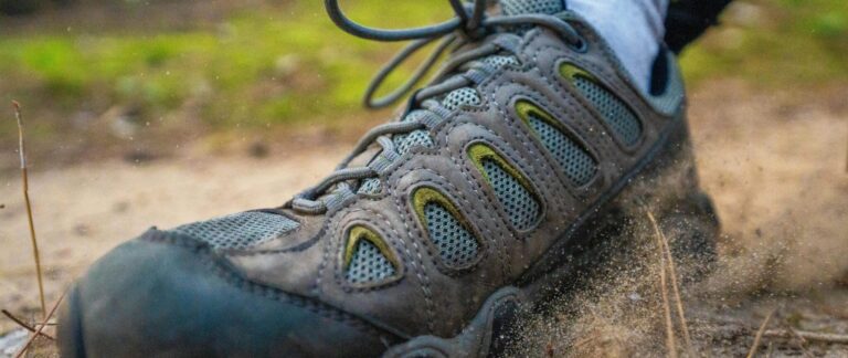 Naturkundliche Wanderung in Kirkel/ Essen